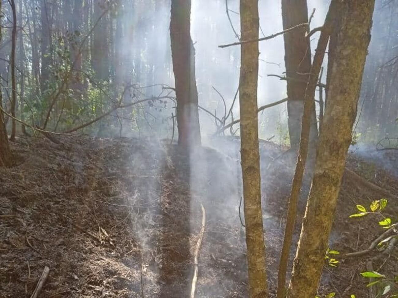 Сославшись на плохую погоду, проводник бросил в Карпатах группу мужчин