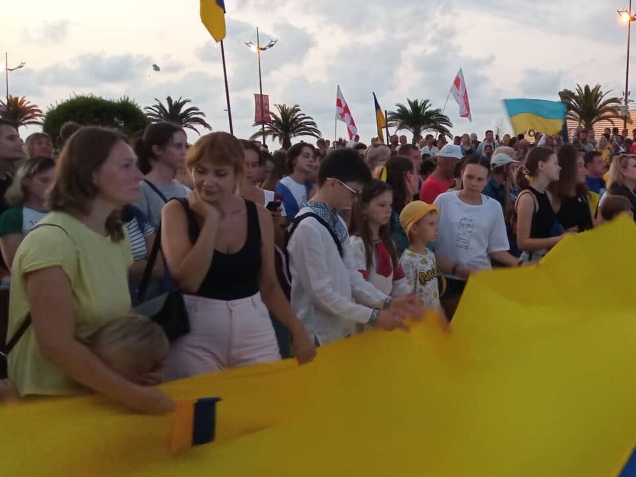 Жители Грузии назвали россиян оккупантами