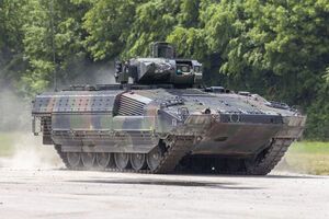 Ландсбергіс не уточнив, які саме бронетранспортери передадуть Україні