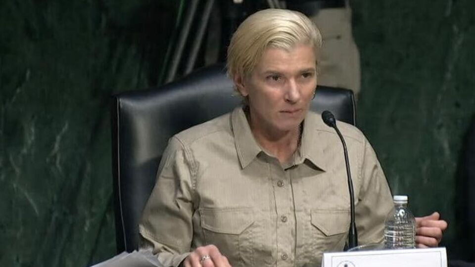 Паєвська виступила перед Гельсінською комісією