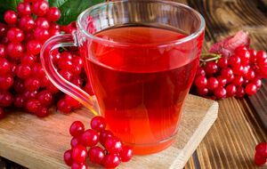 Чай из калины прост в приготовлении