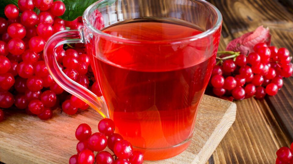 Чай из калины прост в приготовлении