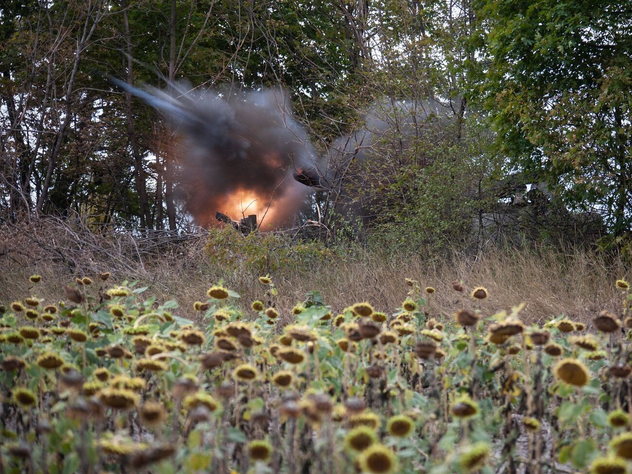 Українські військові відбили атаки ворога в Донецькій області й завдали йому втрат