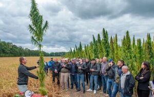 Коноплю можно использовать для производства военной формы и бронежилетов, отметили в НААН