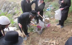 Хасиды выкопали около 30 костей, пишет УНН