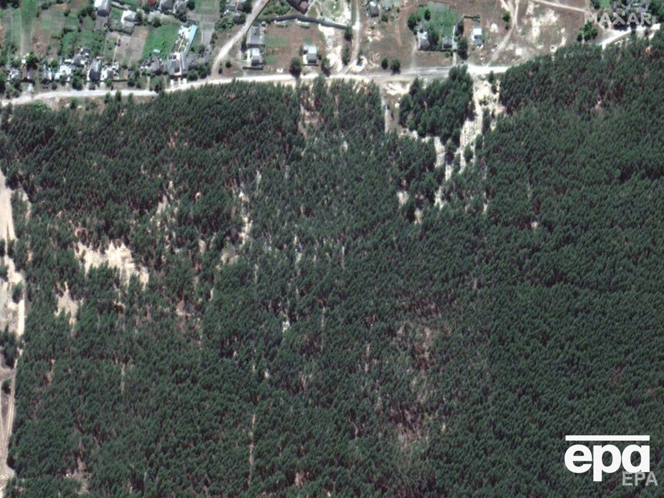 В изюмском лесу после освобождения от российских войск обнаружили более 400 могил