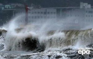 В результате тайфуна около 250 тыс. домохозяйств остались без электричества