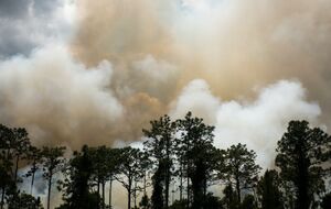 Специалисты подсчитали сумму, на которую был нанесен вред экологии из-за российских обстрелов