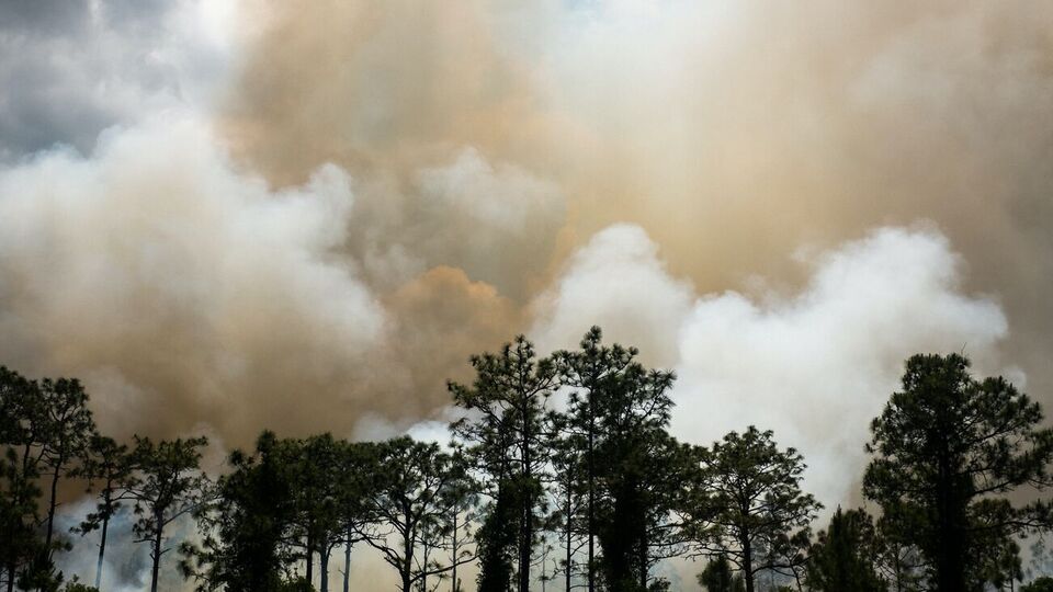 Специалисты подсчитали сумму, на которую был нанесен вред экологии из-за российских обстрелов