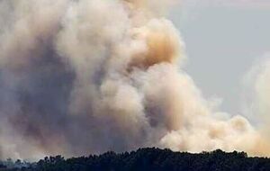 Лес горит с 11.00, сообщили в ОВА