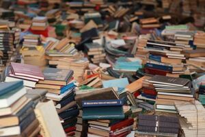 Собрано около 48 тыс. книг, отметили в Киевсовете