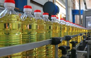 Агропромислова компанія Bunge продала свій завод із перероблення соняшнику у Воронезькій області та заявила про вихід із російського ринку