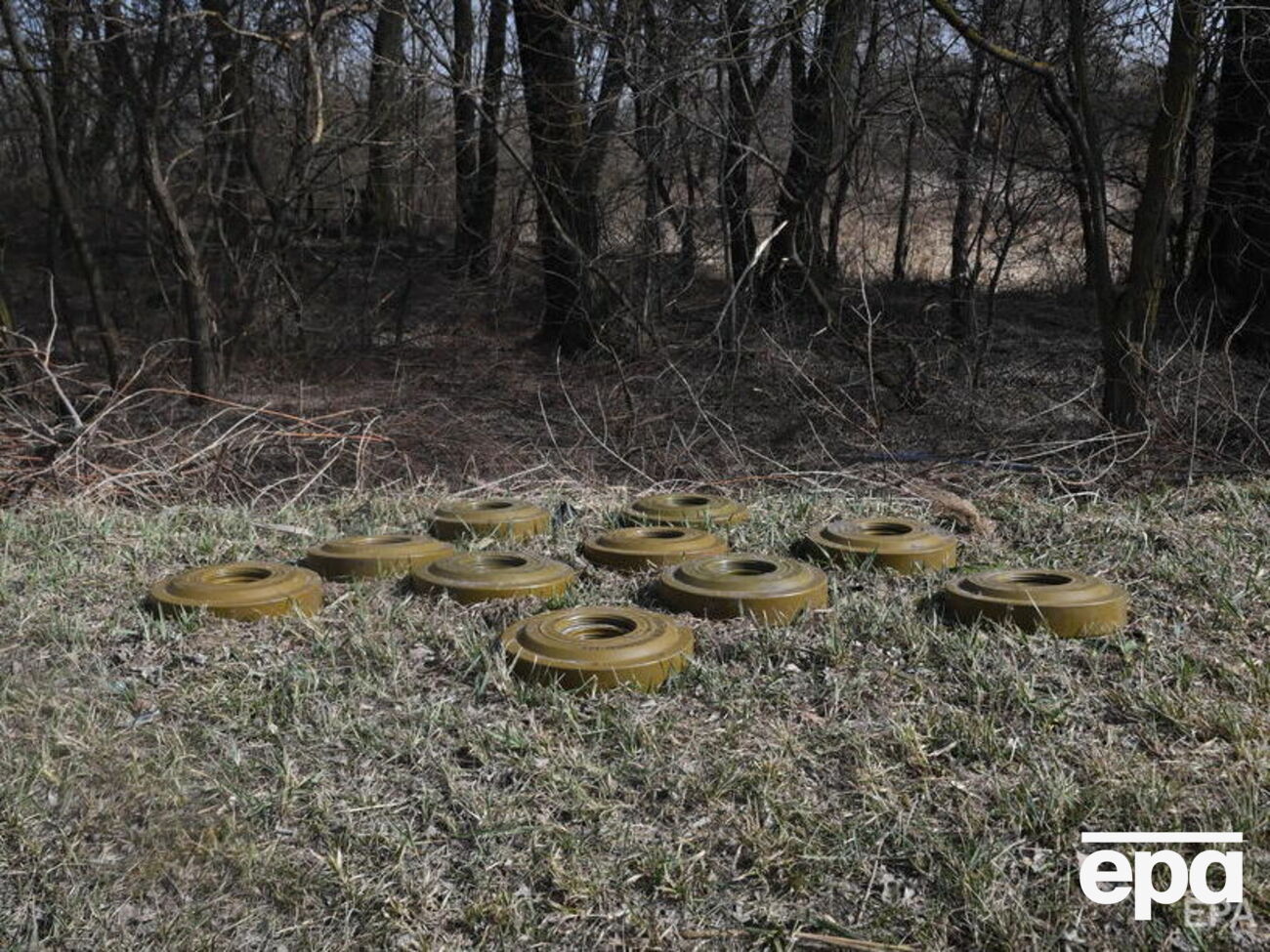 У лісах і полях Київської області зберігається небезпека через замінування