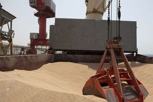 Транспортировку зерна оплатят Франция и ФРГ, отметили в МИД Украины