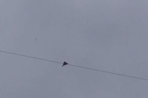 Один такой дрон-камикадзе в небе над Одессой сбили