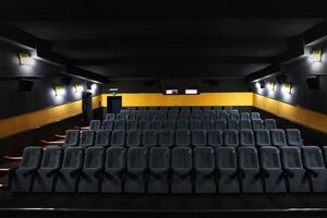 "Приходите к нам, мы все понимаем", – заявили в Cinema Park