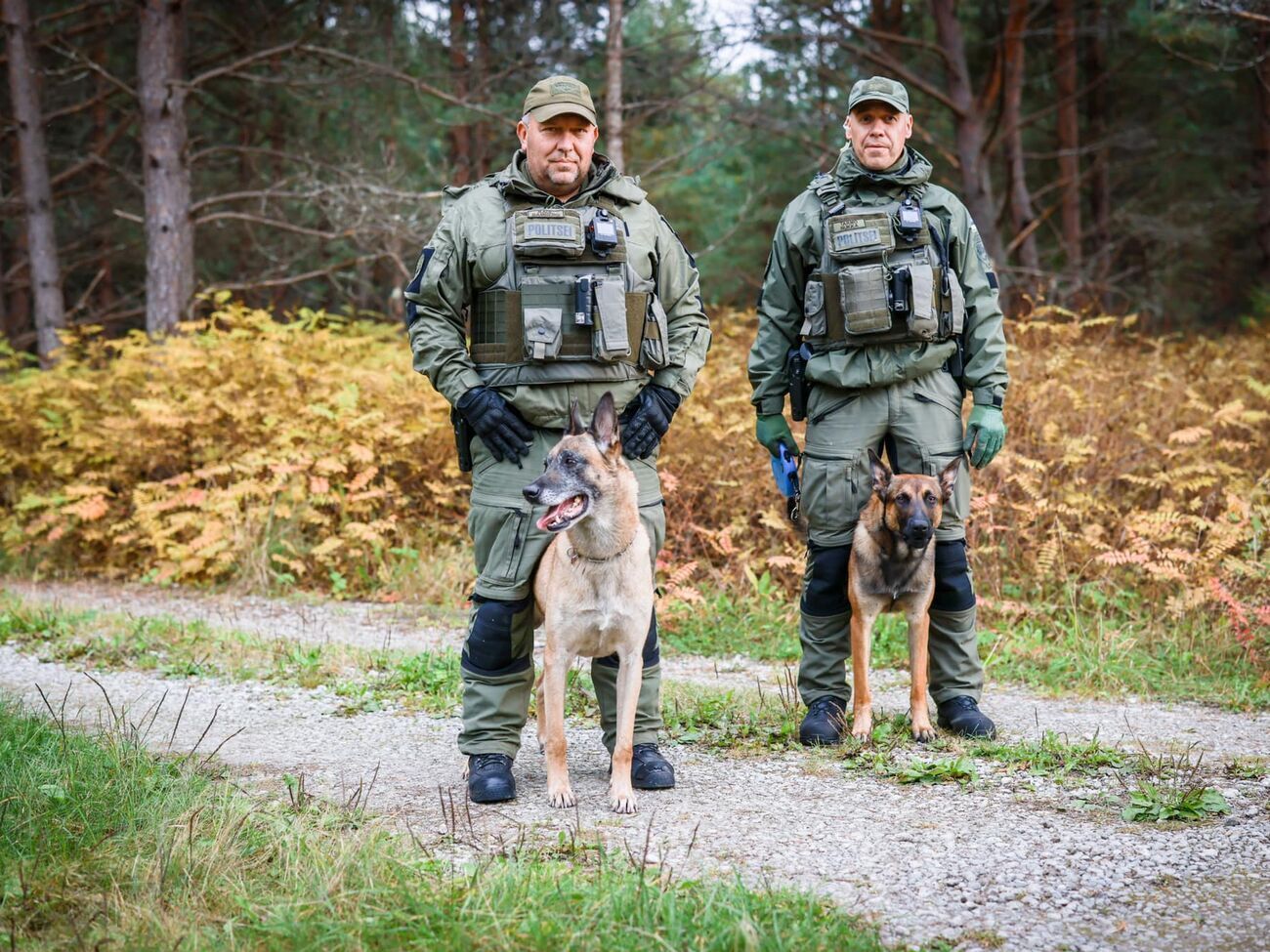 Прикордонники залучили кілька додаткових патрулів, собачий патруль