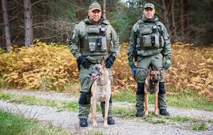 Прикордонники залучили кілька додаткових патрулів, собачий патруль