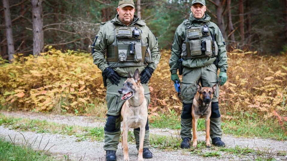 Пограничники задействовали несколько дополнительных патрулей, собачий патруль