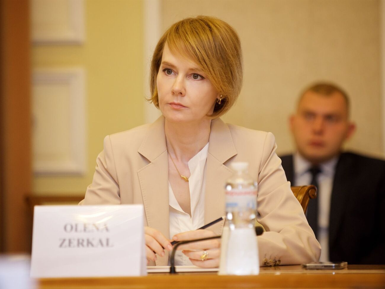 У ЕС нет паники из-за повреждений газопроводов, отметила Зеркаль