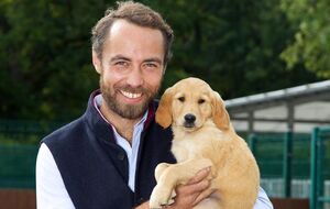 Миддлтон: Это Берти