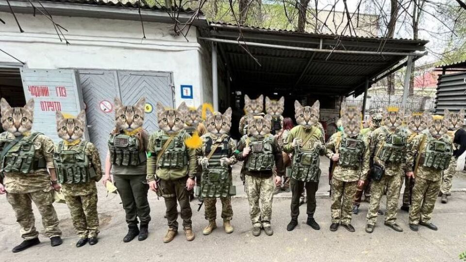 За семь месяцев российской агрессии Parimatch оказал помощь Вооруженным силам Украины и стране на 258 миллионов гривен