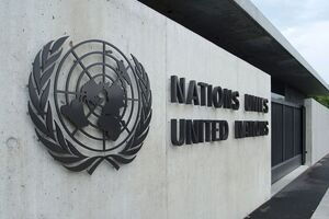 ООН практически приравнивает жертву и напавшего, сказал Лубинец