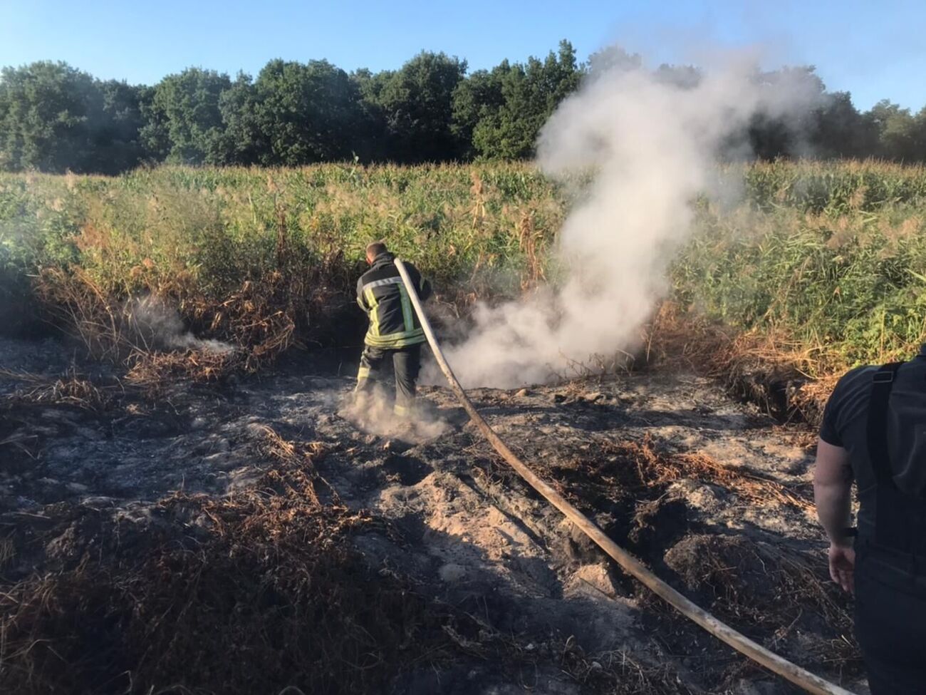 Під Києвом гасять торфовища у Вишгородському і Броварському районах