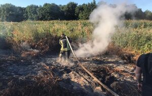 Під Києвом гасять торфовища у Вишгородському і Броварському районах