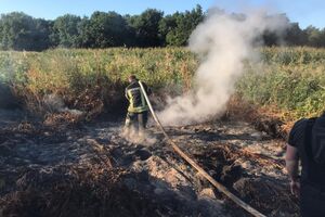 Під Києвом гасять торфовища у Вишгородському і Броварському районах