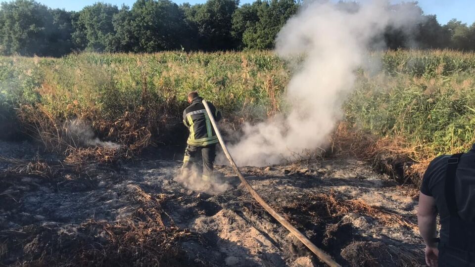 Под Киевом тушат торфяники в Вышгородском и Броварском районах