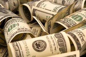 Наступного року курс долара становитиме 50 грн/$, вважає колишній заступник директора департаменту фінансової стабільності НБУ