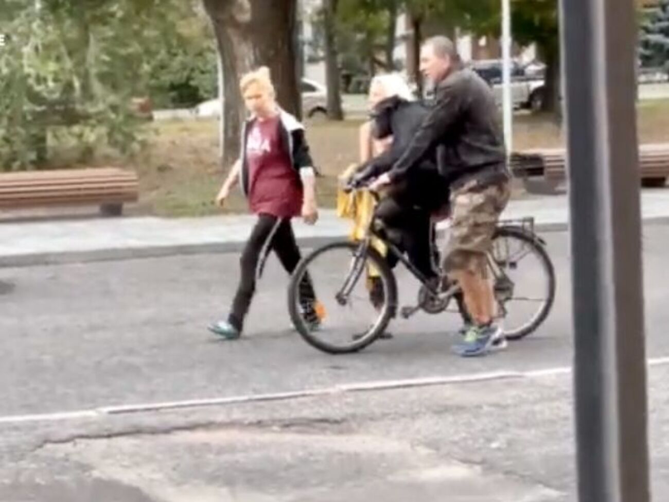 Животное успело погулять по центру