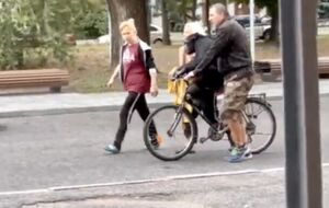 Тварина встигла погуляти центром