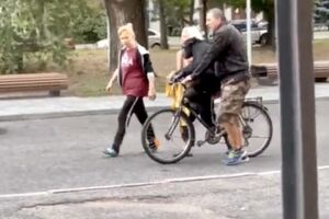 Животное успело погулять по центру