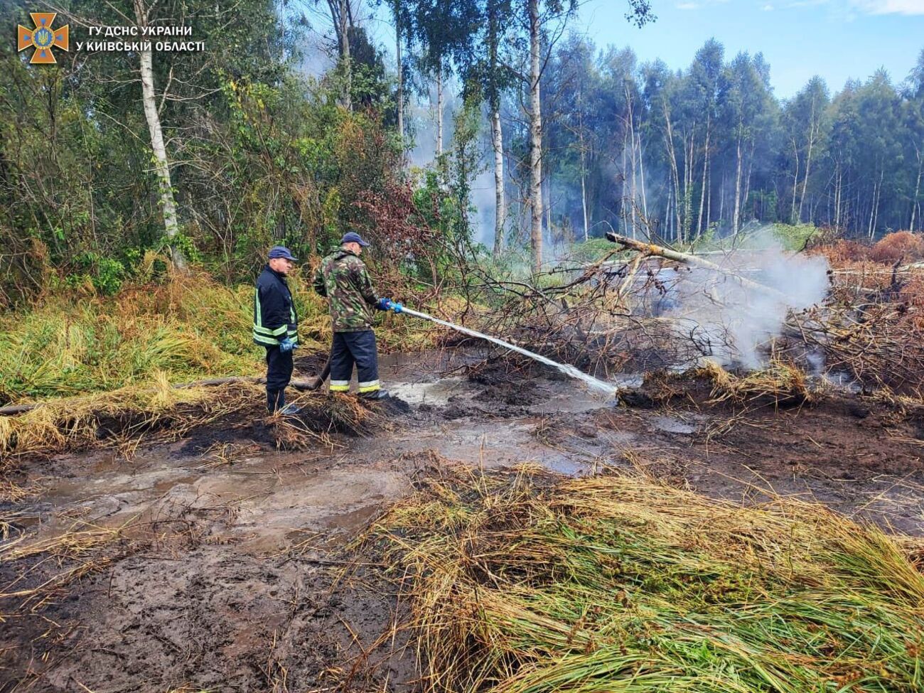 Рятувальники загасили частину займань і продовжують боротьбу з пожежами на торфовищах