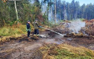 Рятувальники загасили частину займань і продовжують боротьбу з пожежами на торфовищах