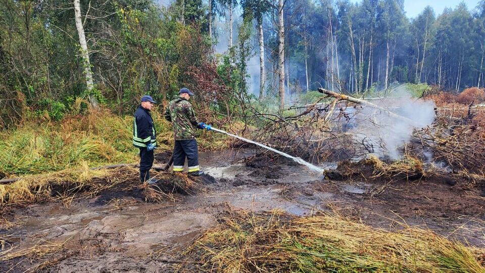 Рятувальники загасили частину займань і продовжують боротьбу з пожежами на торфовищах