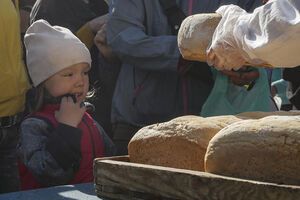 Количество точек раздачи в городе, по данным ООН, за последние недели увеличилось вдвое