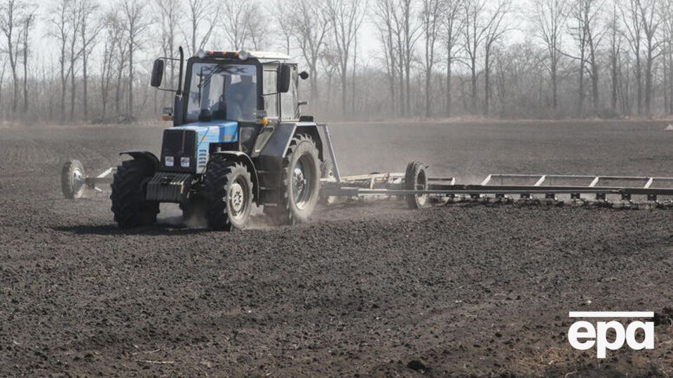 В Україні сіють озимі зернові