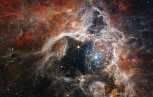Туманность Тарантул содержит самые горячие и массивные известные людям звезды