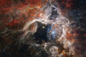 Туманность Тарантул содержит самые горячие и массивные известные людям звезды