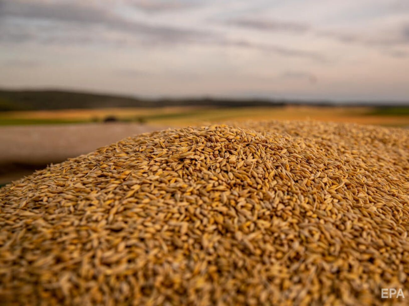 Путин опять перешел к "зерновому шантажу", считает Фурса