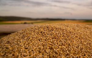 Путин опять перешел к "зерновому шантажу", считает Фурса