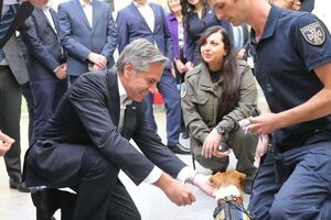 Блінкен, Патрон і господар собаки Михайло Ілльов у вестибюлі Охматдиту