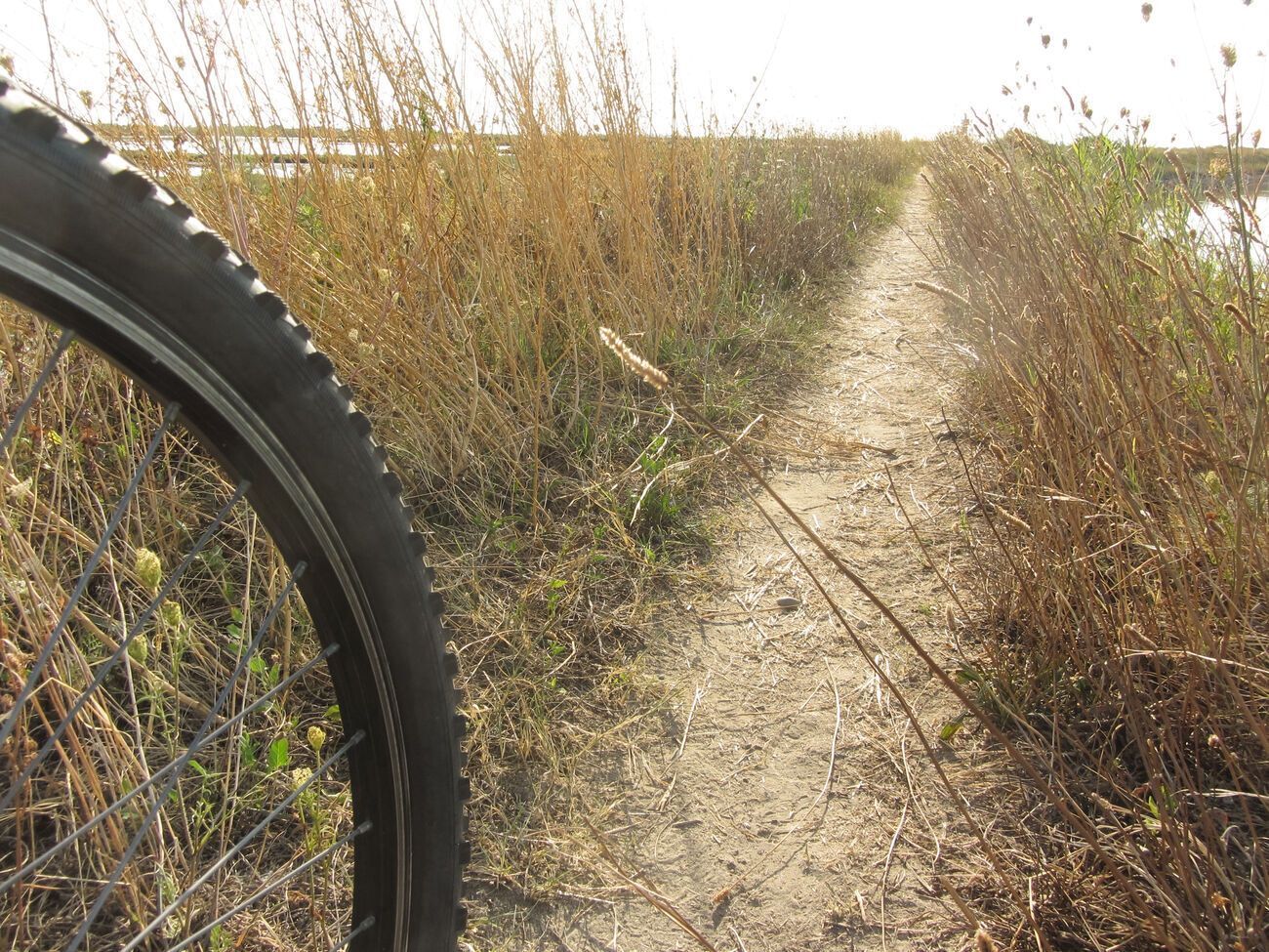 Для ухода с боевых позиций оккупанты используют отобранные у местного населения велосипеды и мотороллеры, отметили в украинской разведке