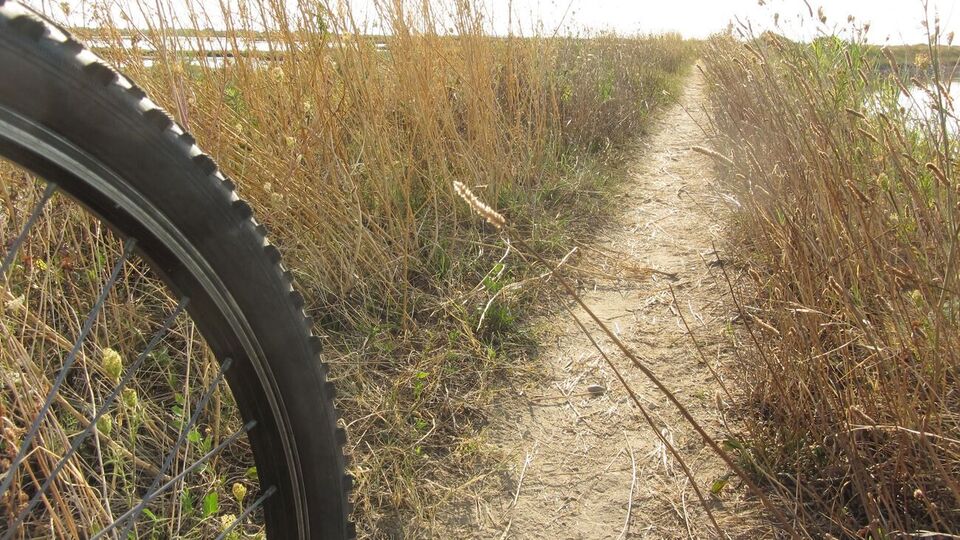 Для відходу з бойових позицій окупанти використовують відібрані в місцевого населення велосипеди й моторолери, зазначили в українській розвідці