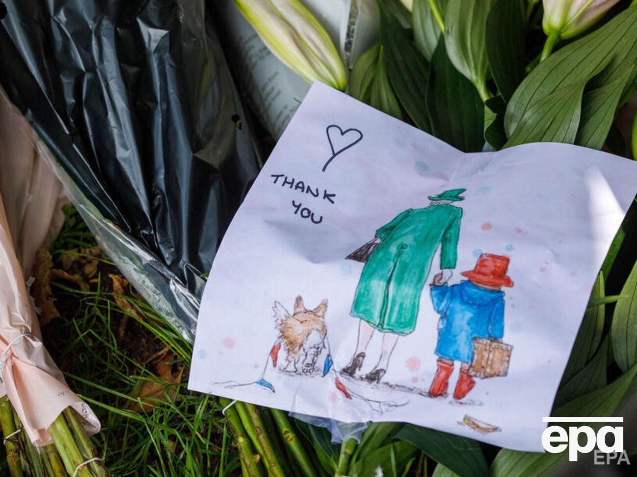 Паддингтон: Спасибо, мэм, за все