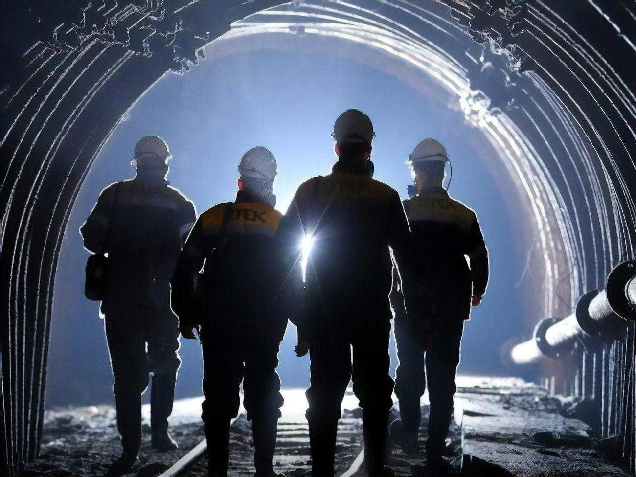 В течение 2022 года угледобывающие предприятия ДТЭК ввели в работу 28 новых лав