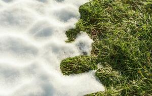 В Украине ожидается потепление до +8 °С... +10 °С